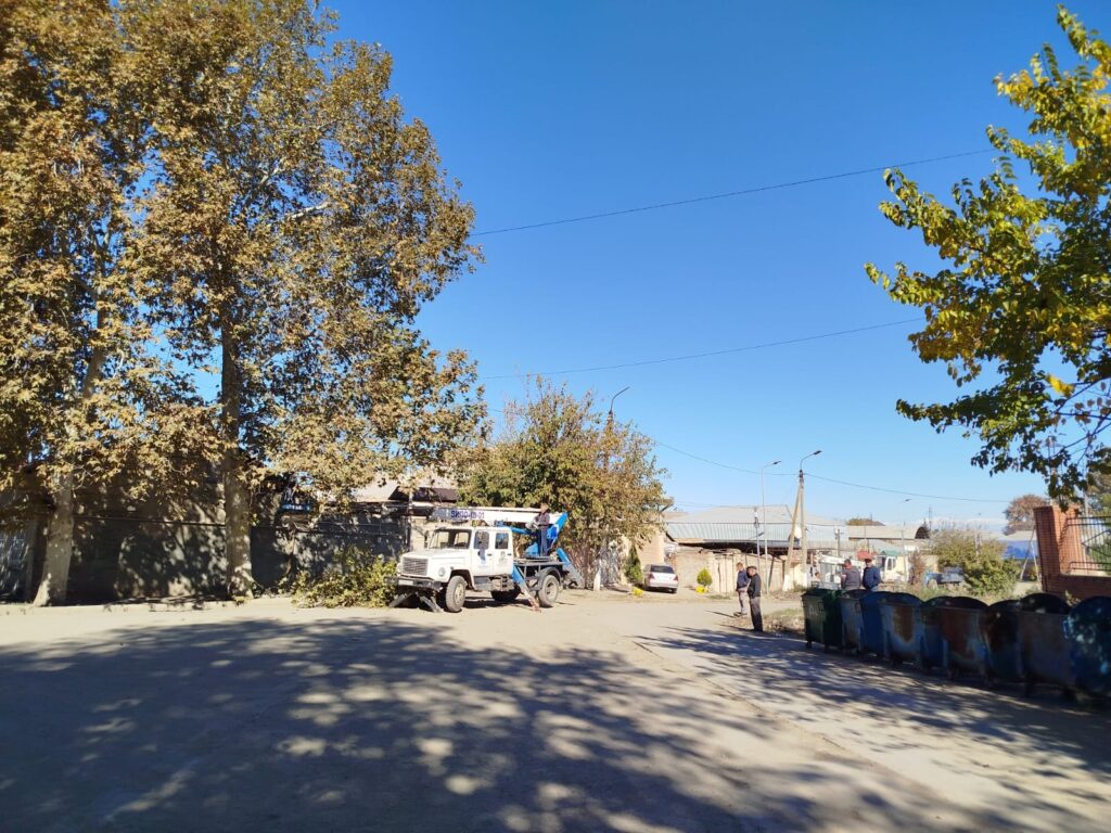 Gəncədə mövsümü budanma işləri həyata keçirilir