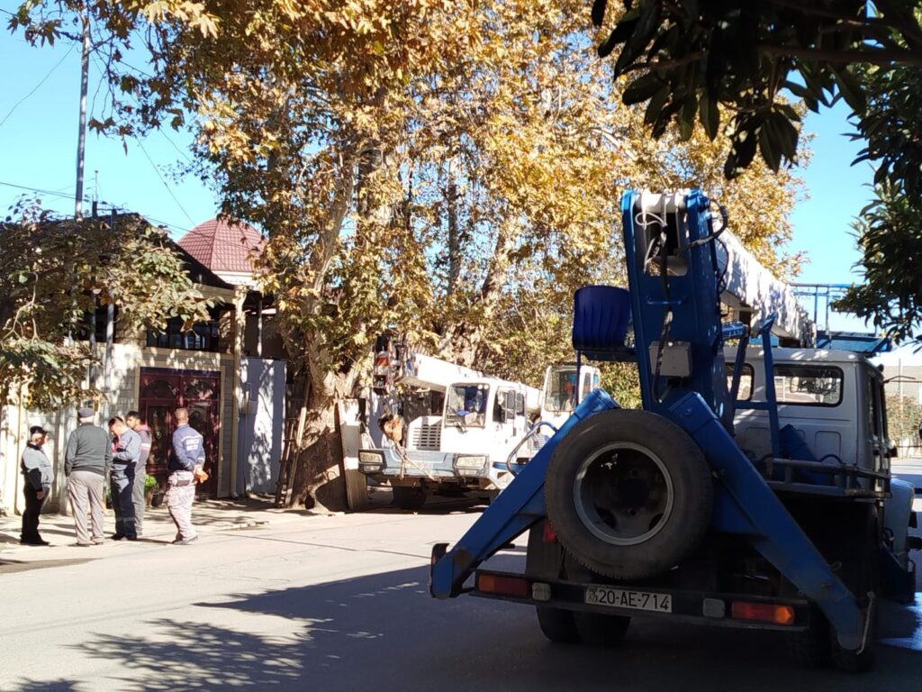 Gəncədə mövsümü budanma işləri həyata keçirilir