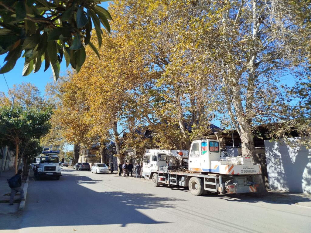 Gəncədə mövsümü budanma işləri həyata keçirilir