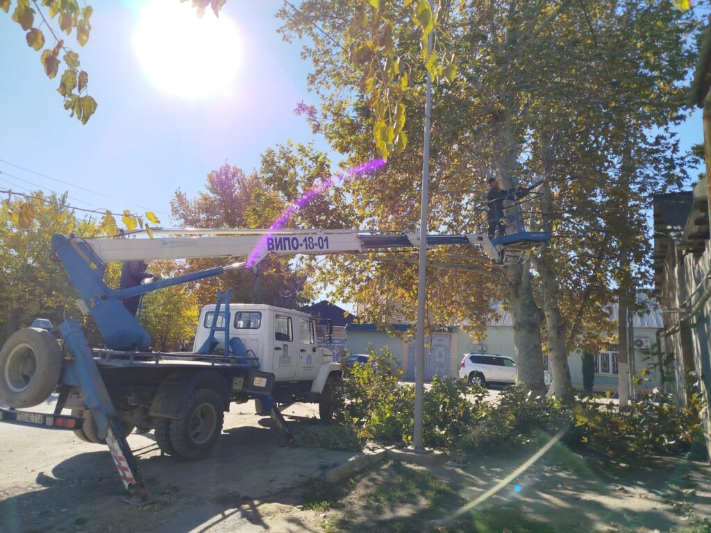 Gəncədə mövsümü budanma işləri həyata keçirilir