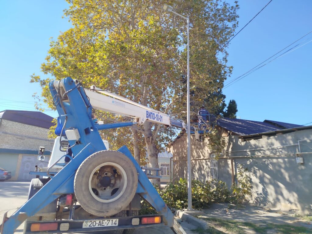 Gəncədə mövsümü budanma işləri həyata keçirilir