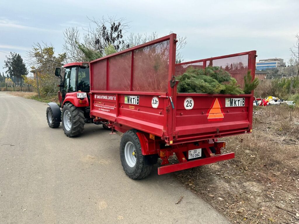 Gəncədə silsilə ağacəkmə tədbirləri həyata keçirilir