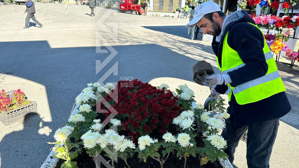 Gəncədə 8 Noyabr - Zəfər Günü ilə bağlı hazırlıq işləri aparılır