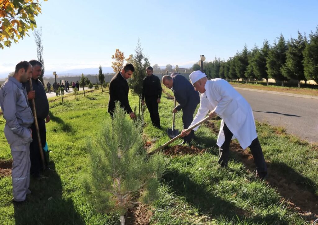 Goranboyda ağacəkmə aksiyası davam edir