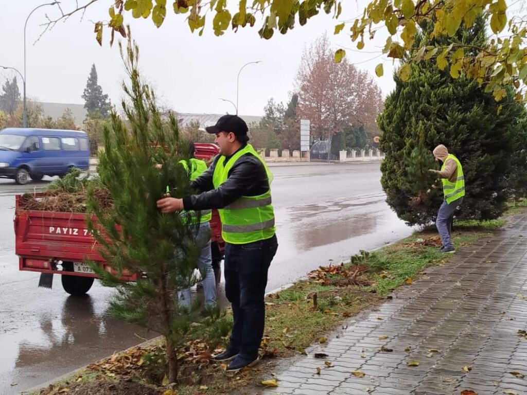 Gəncədə növbəti yaşıllaşdırma aksiyası keçirilib
