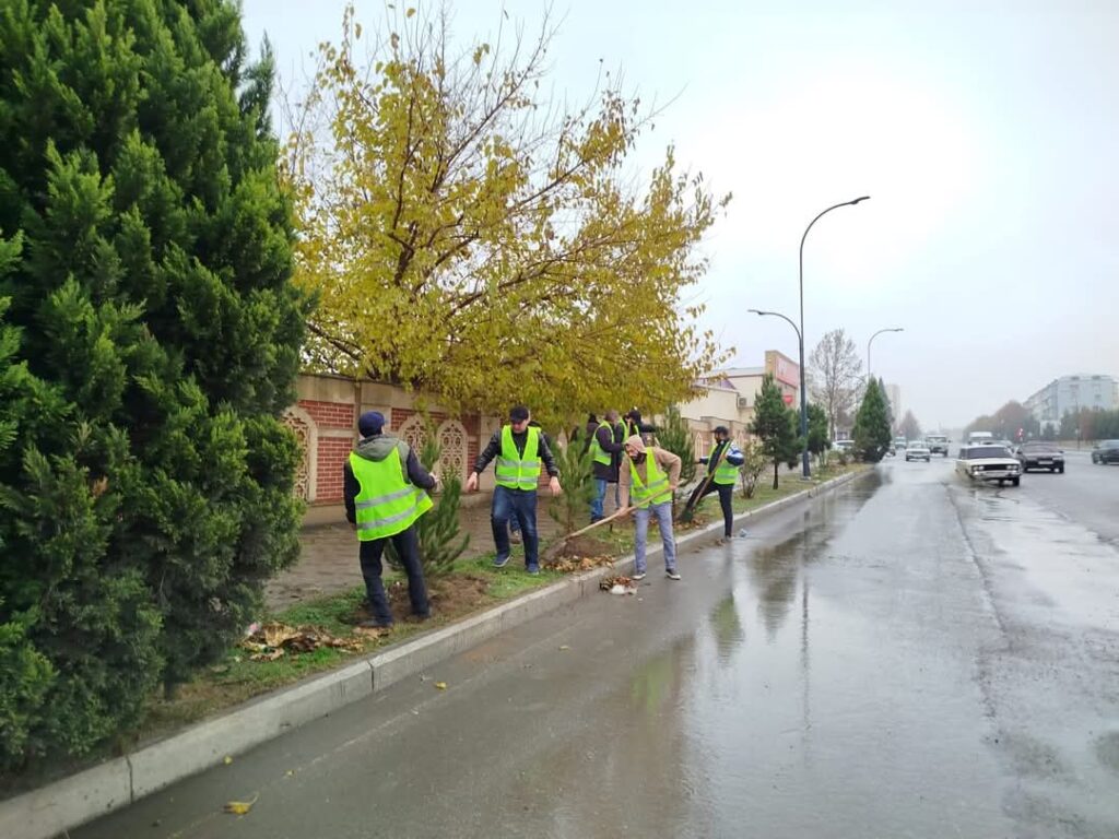 Gəncədə növbəti yaşıllaşdırma aksiyası keçirilib