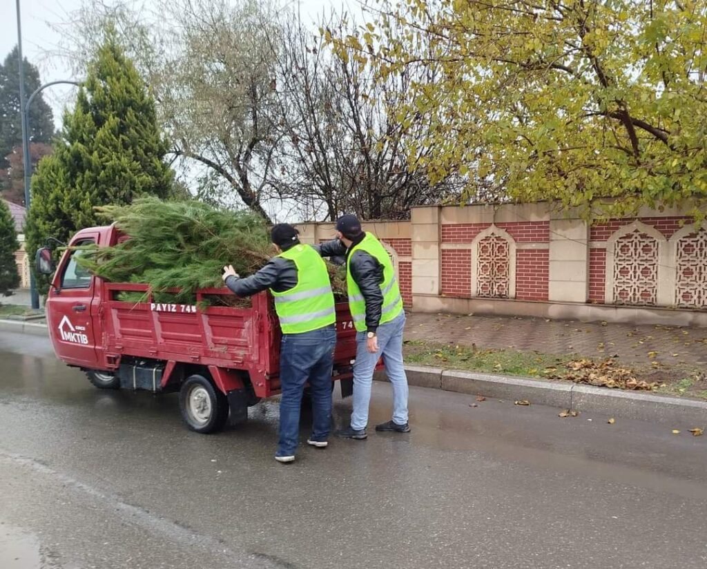 Gəncədə növbəti yaşıllaşdırma aksiyası keçirilib