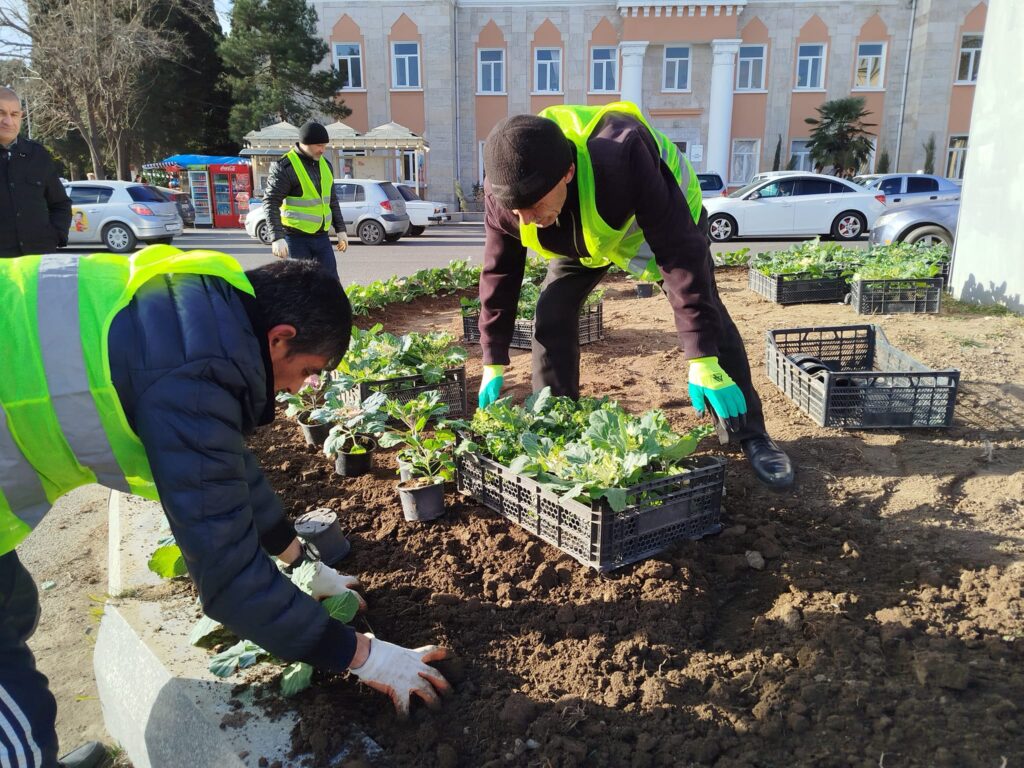 Gəncədə iqlim şəraitinə uyğun güllər əkilir