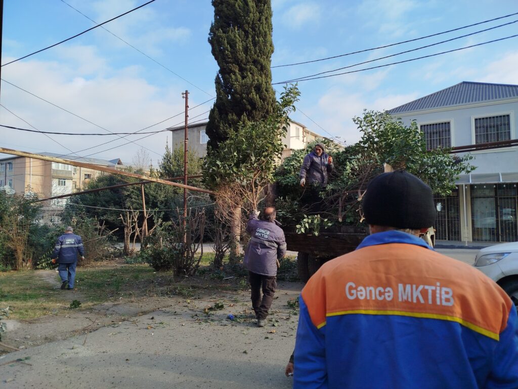 Gəncəçayda və ətraf ərazilərdə iməcilik keçirilib