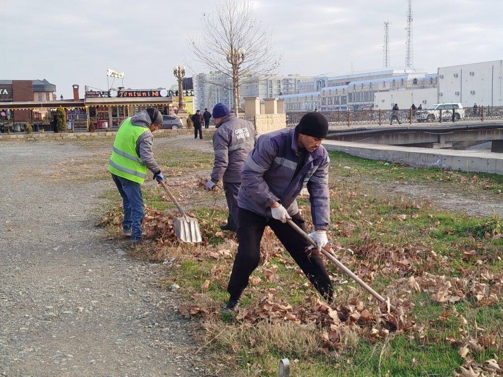 Gəncəçayda və ətraf ərazilərdə iməcilik keçirilib