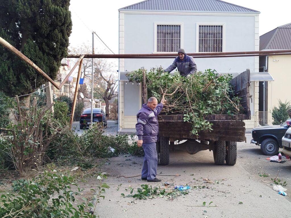 Gəncəçayda və ətraf ərazilərdə iməcilik keçirilib