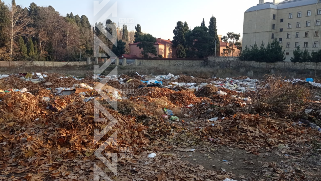 Tikinti üçün qazılan xəndək zibilliyə çevrildi - ŞİKAYƏT - FOTO/VİDEO