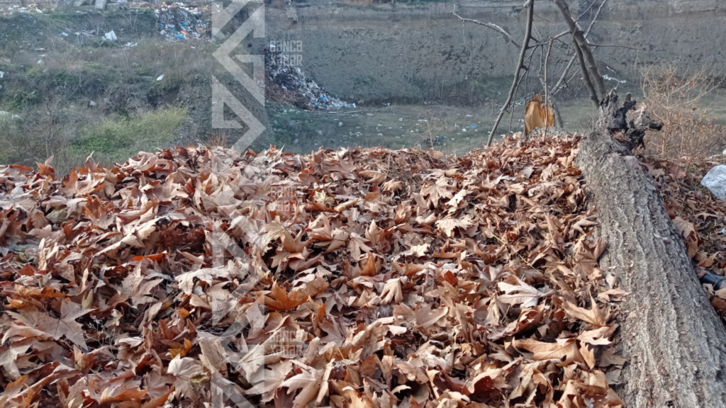 Tikinti üçün qazılan xəndək zibilliyə çevrildi - ŞİKAYƏT - FOTO/VİDEO