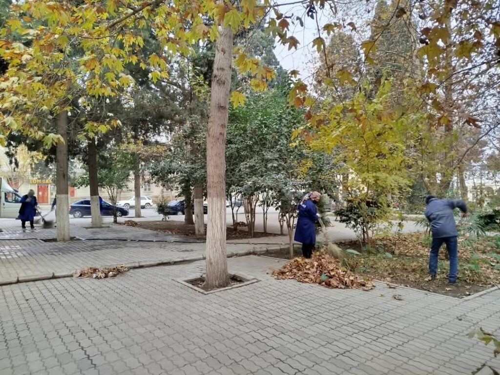 Gəncənin bir sıra ərazilərində MKTİB iməcilik keçirib