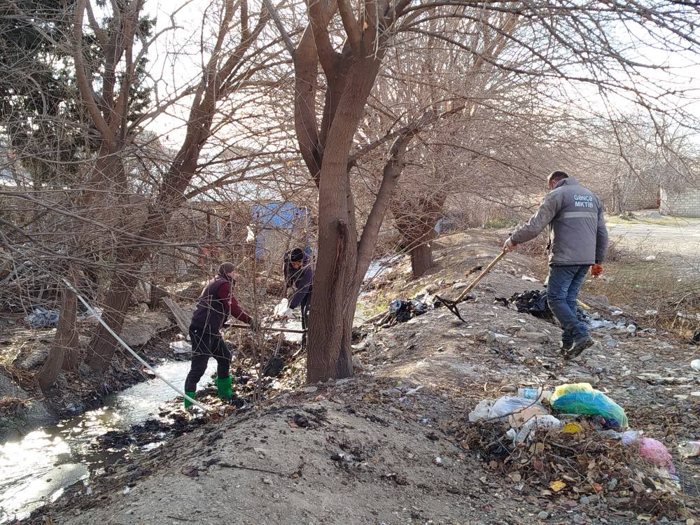 Gəncənin daha bir qəsəbəsində təmizlik işləri görülüb