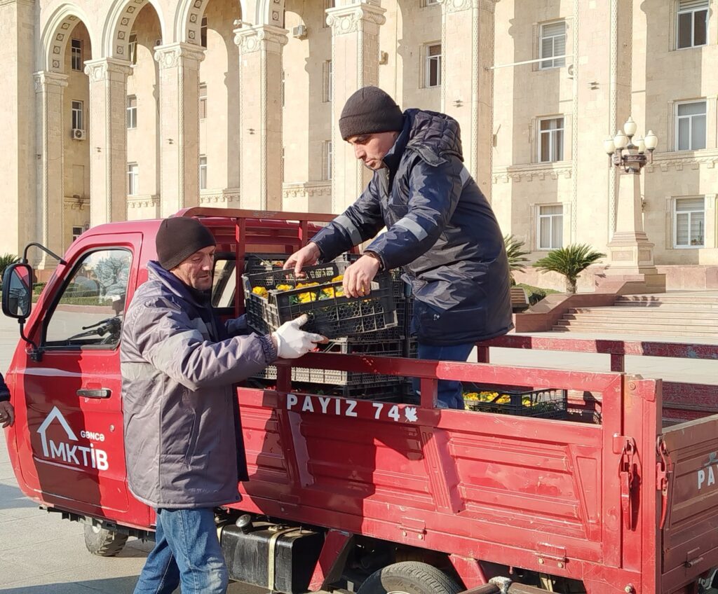 Gəncədə iqlim şəraitinə uyğun mövsümü güllər əkilib