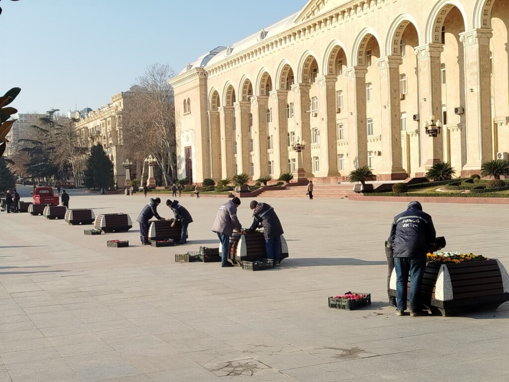 Gəncədə iqlim şəraitinə uyğun mövsümü güllər əkilib
