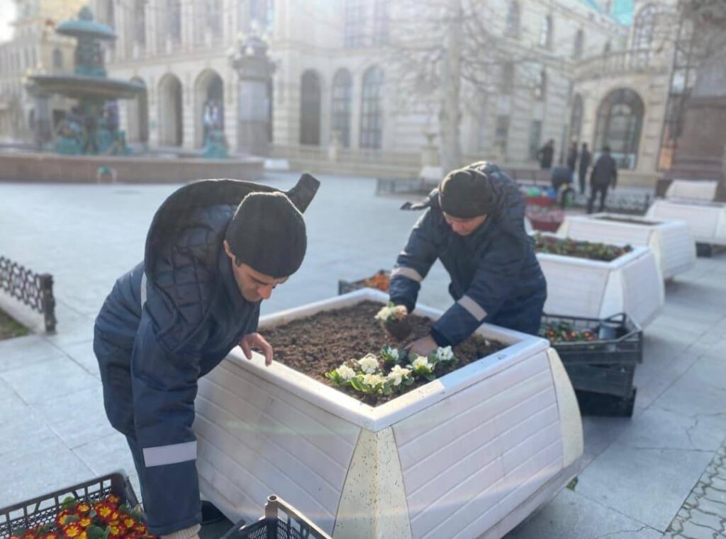 Gəncədə iqlim şəraitinə uyğun mövsümü güllər əkilib