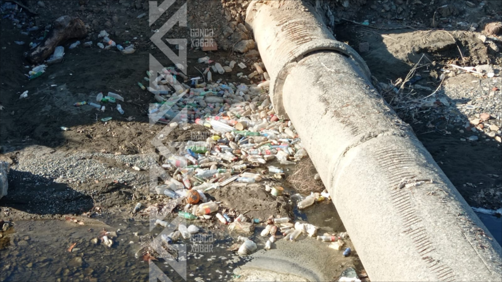 Gəncə bulvarı baxımsız vəziyyətdədir