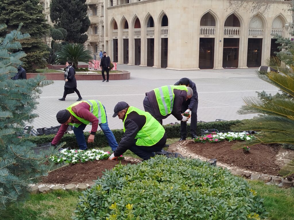 Gəncədə təmizlik aksiyası keçirilib