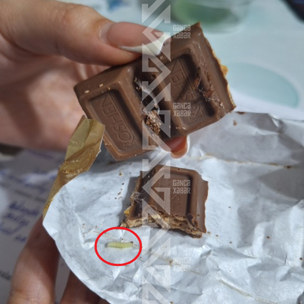 Gəncədə qurdlu şokolad satılıb: “Gətir, yenisi ilə əvəz edək”