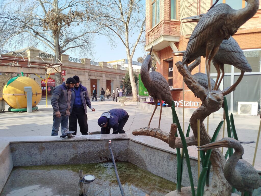 Gəncədə MKTİB tərəfindən yaşıllaşdırma və təmir işləri aparılıb