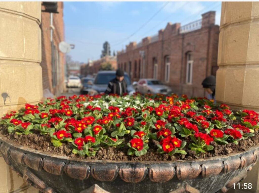 Gəncədə MKTİB tərəfindən yaşıllaşdırma və təmir işləri aparılıb