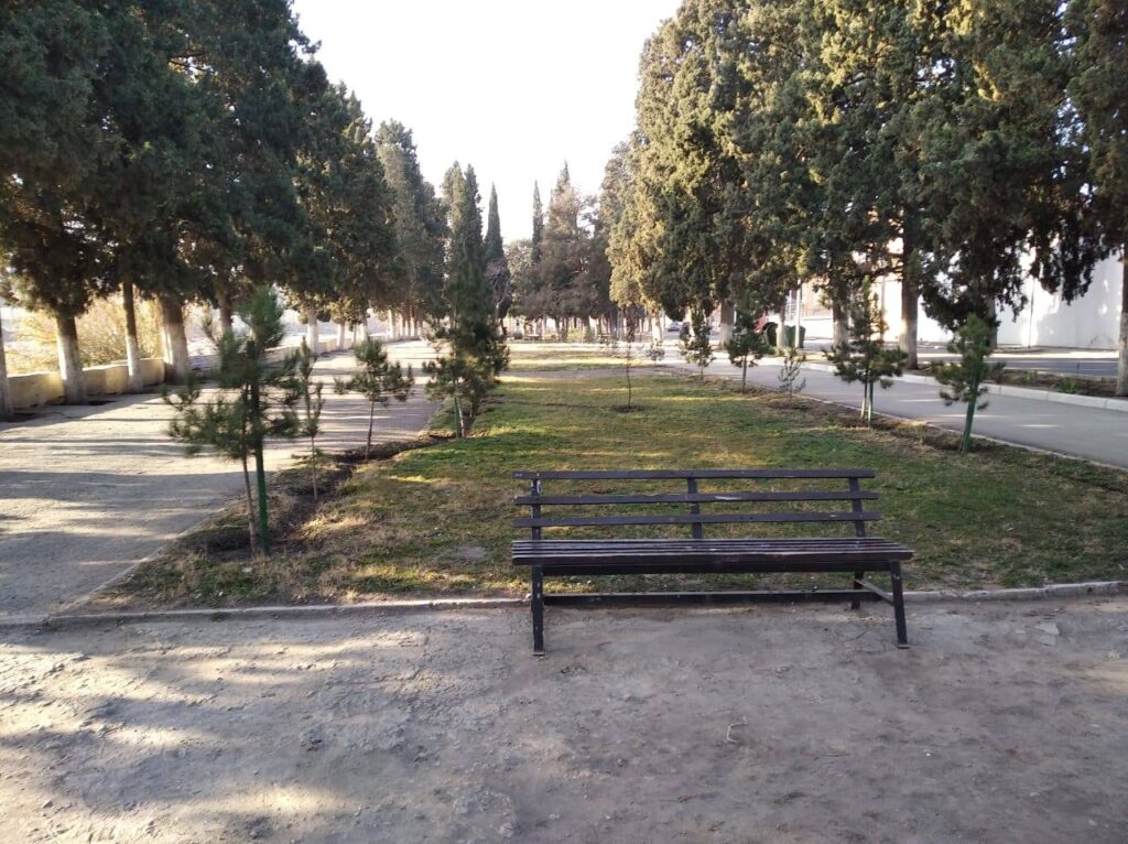 Daha bir parkda təmizlik işləri görülüb