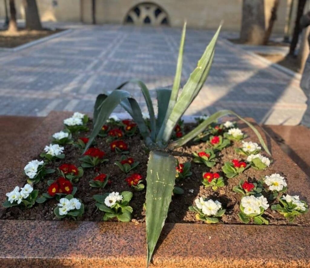 Xan Bağına yazın gəlişini xəbər verən güllər əkilib