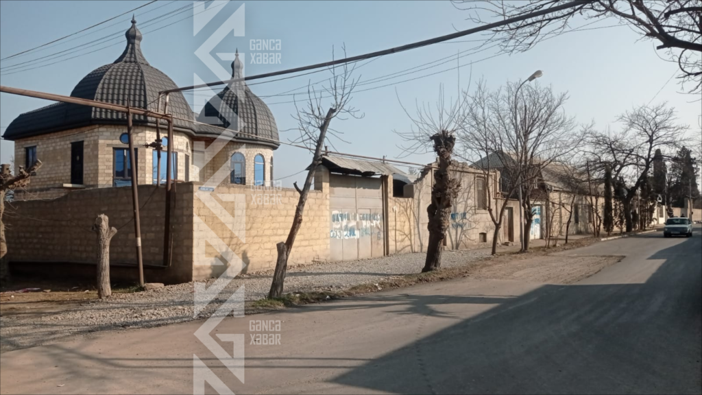 Gəncənin bu küçəsində ağaclar məhv olur