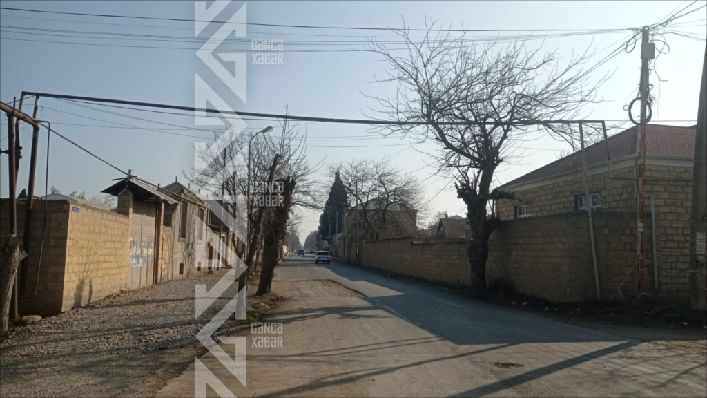 Gəncənin bu küçəsində ağaclar məhv olur