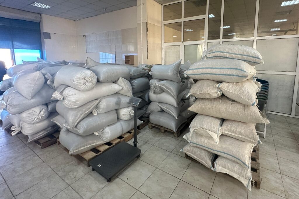 Gəncədə fabrik açılıb