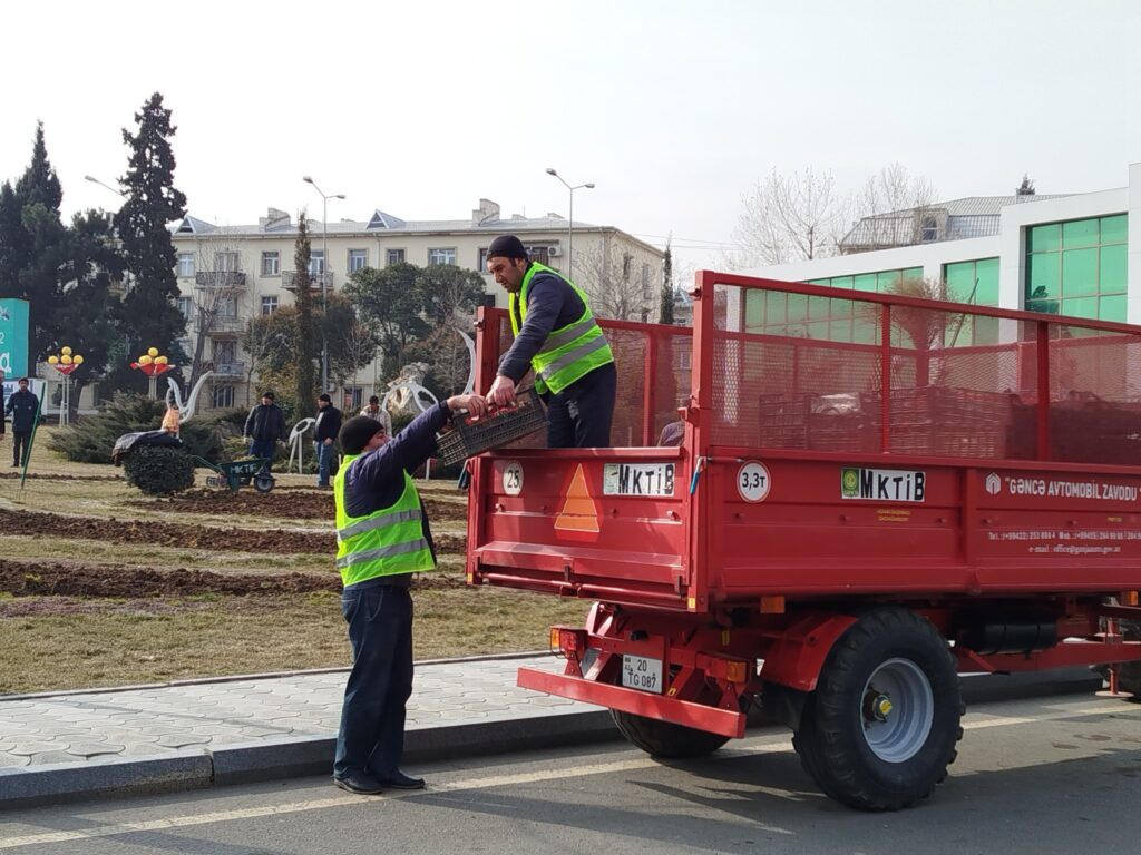 "Avropa Gənclər paytaxtı 2016" parkında mövsümü güllər əkilib - FOTO
