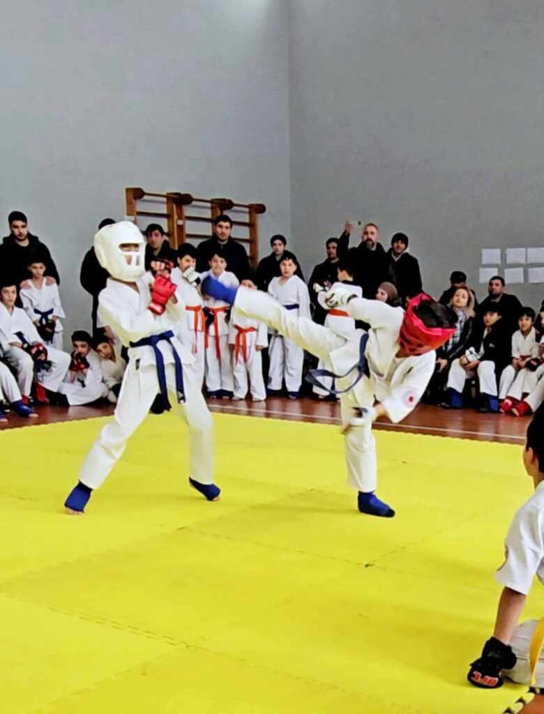 Aşihara karate üzrə Göygöl birinciliyi keçirilib