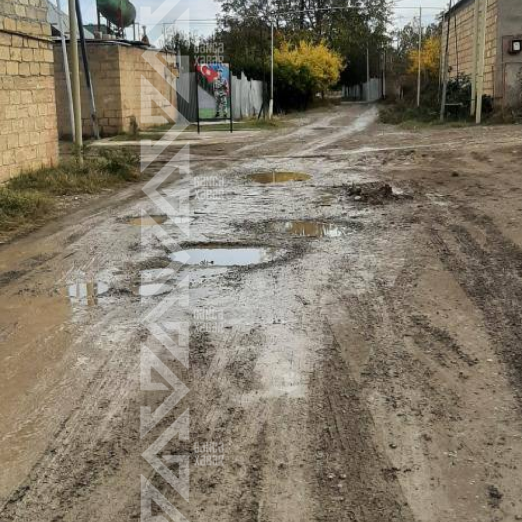 Gəncədə şəhid adını daşıyan küçə acınacaqlı vəziyyətdədir