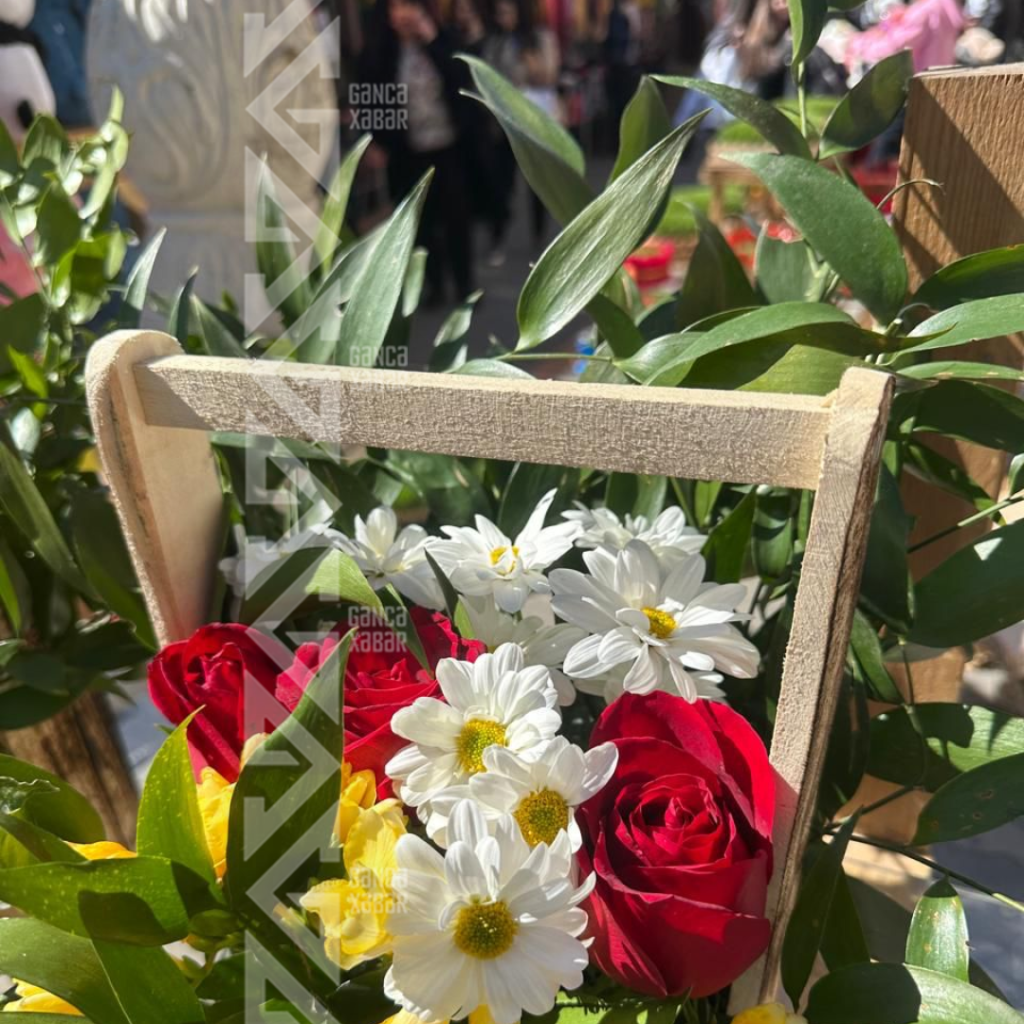 Gəncəli kişilərin diqqətinə: güllərin QİYMƏTİ