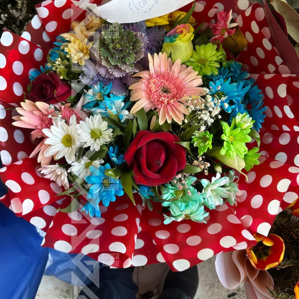 Gəncəli kişilərin diqqətinə: güllərin QİYMƏTİ