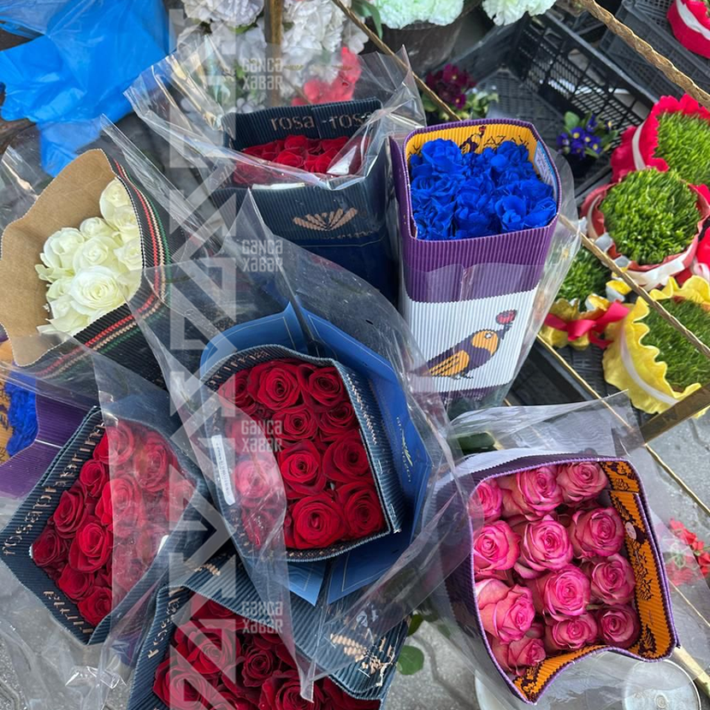 Gəncəli kişilərin diqqətinə: güllərin QİYMƏTİ