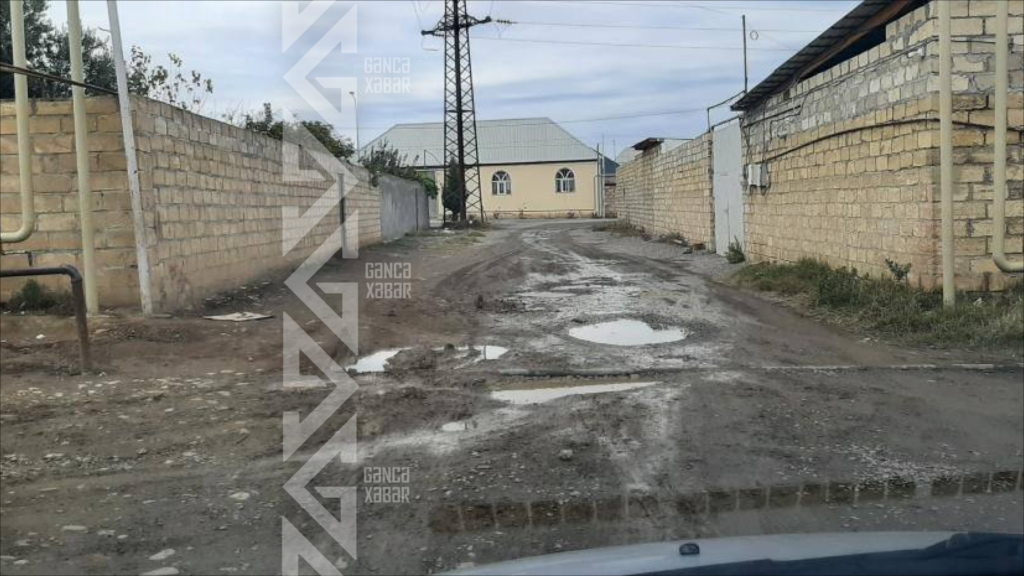 Gəncədə şəhid adını daşıyan küçə acınacaqlı vəziyyətdədir