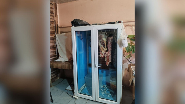 Gəncədə dana əvəzinə camış əti satılıb