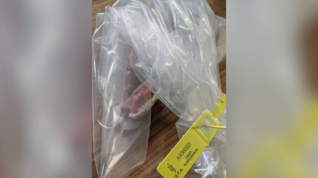 Gəncədə dana əvəzinə camış əti satılıb