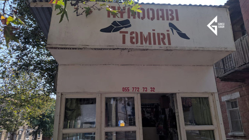 Gəncədə pinəçilik sənətini yaşadan usta yaşayır