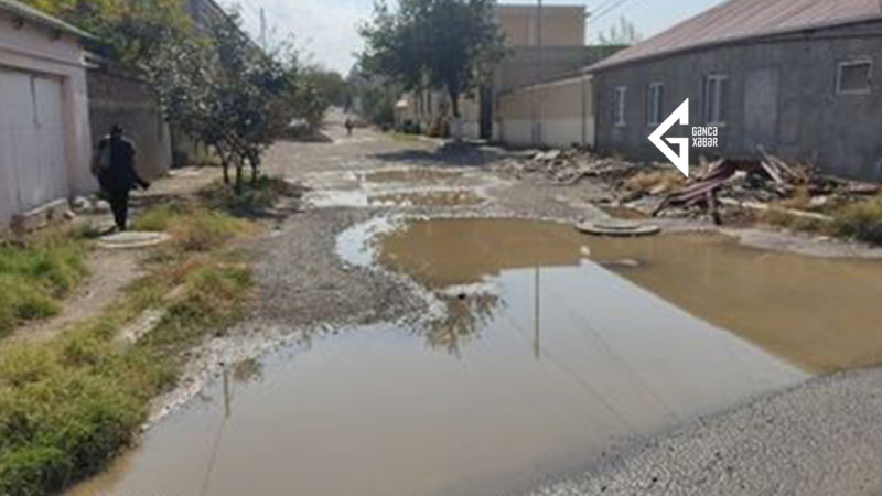 Gəncədə Hacı Zeynalabdin Tağıyev küçəsi yağış yağanda su altında qalır