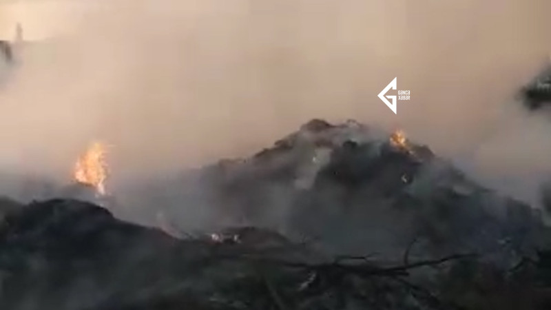 Gəncədə quru ot sahəsində alovun söndürülməsi anları əldə edilib
