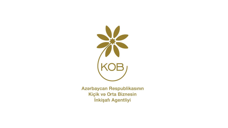 Gəncədə sahibkarlara marketinq sahəsində yardım olunub