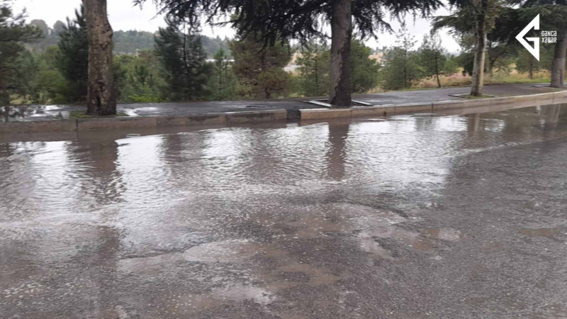 Gəncə sakinləri dayanacaqda yox, yoldan kənarda avtobus gözləyirlər
