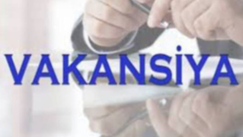 Gəncədə müəllimlik üzrə vakansiya mövcuddur