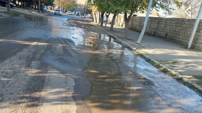 Gəncə sakinləri Şəhidlər xiyabanına axışırlar