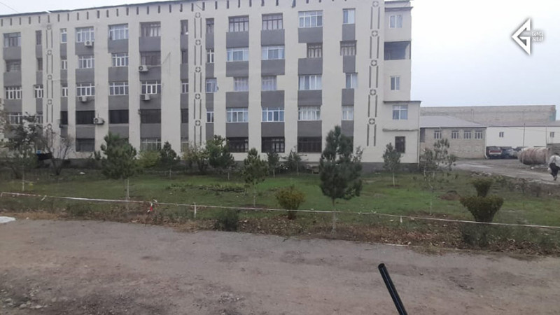 Gəncədə boya başa çatan şəhidin xatirəsinə ağaclar əkilib