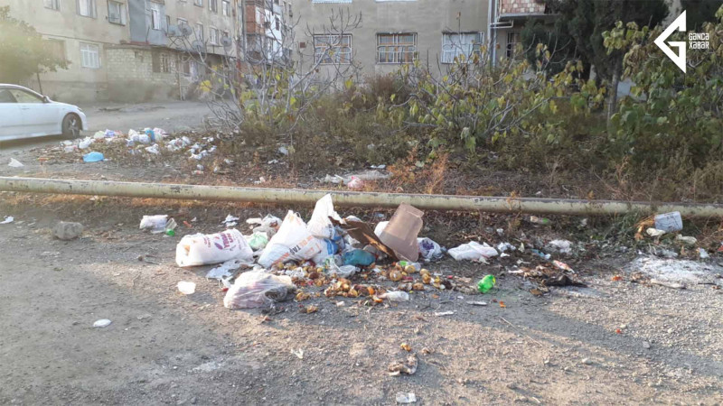 Gəncədə yerləşən iki yataqxananın ətrafında natəmizlik şəraiti müşahidə edilir